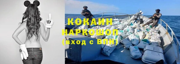 spice Алзамай