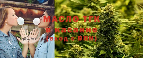ПСИЛОЦИБИНОВЫЕ ГРИБЫ Дмитриев