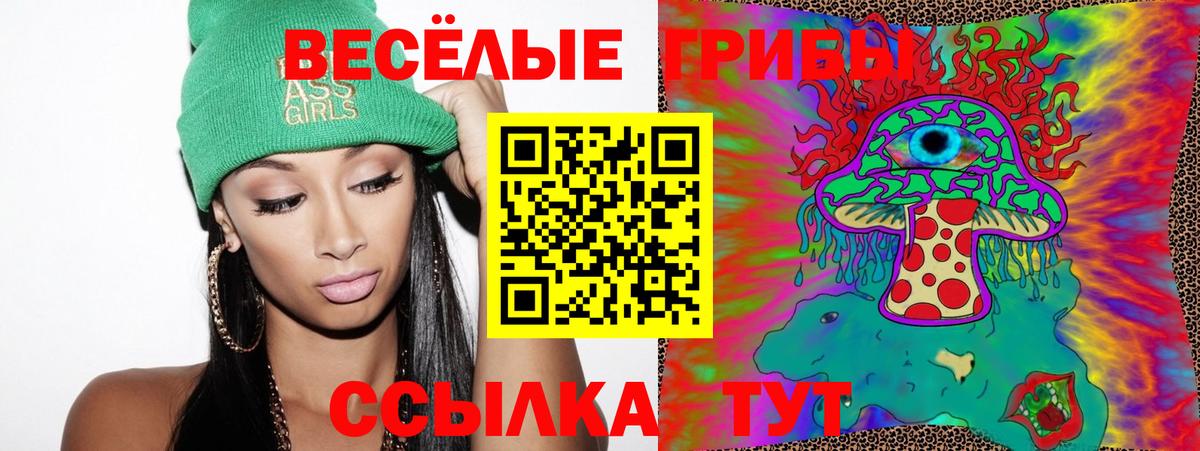 Псилоцибиновые грибы GOLDEN TEACHER Краснотурьинск